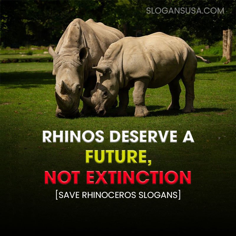 Save Rhinoceros Slogans